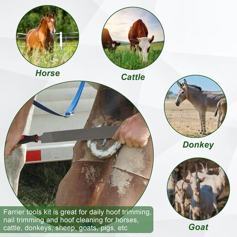 12Pcs Farrier Tools Kit, Hoof Trimming Tools with Tool Bag in Saudi Arabia