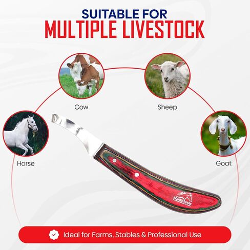 Equine Care Right-Handed Farrier Hoof Knife, Horses Goats Sheep, Red Handle in Saudi Arabia
