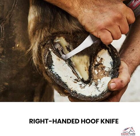 Equine Care Right-Handed Farrier Hoof Knife, Horses Goats Sheep, Red Handle in Saudi Arabia