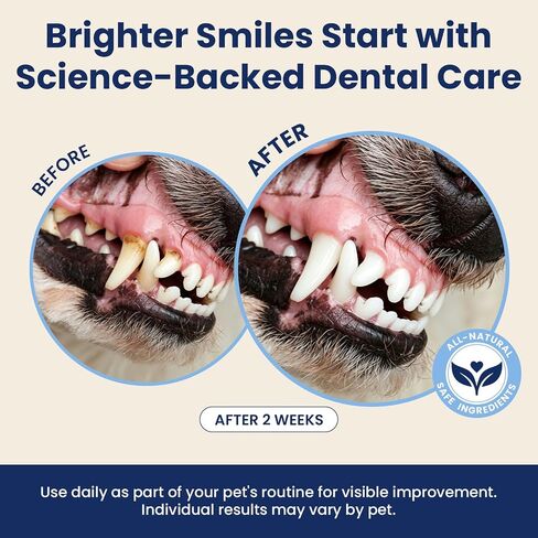 Dental Powder for Dogs Teeth Fresh Breath and Teeth Cleaning Contains Natural Ingredients and Probiotics Dental Powder Dog Tartar and Plaque Removes Tooth Cleaner for Dogs 120g (60-Day Supply) in Saudi Arabia