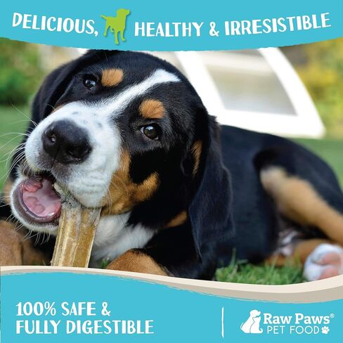 Raw Paws Compressed Rawhide Bones for Small Dogs & Puppy Chews, 10-ct in Saudi Arabia