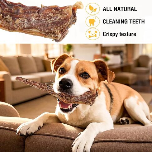 Natural Beef Tail Bones for Dogs - Long-Lasting Dental Chew, Rawhide-Free & Digestible Dog Treats,Single Ingredient Grass-Fed Beef（2 PCS） in Kuwait