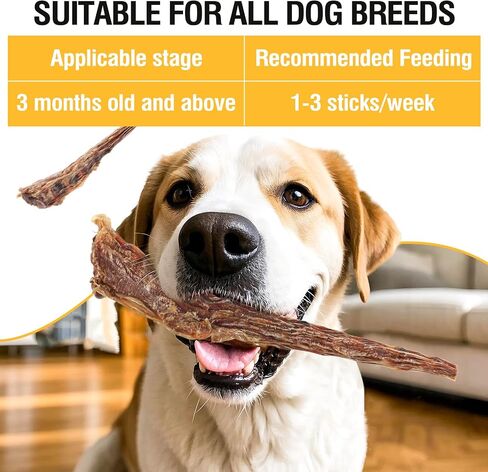 Natural Beef Tail Bones for Dogs - Long-Lasting Dental Chew, Rawhide-Free & Digestible Dog Treats,Single Ingredient Grass-Fed Beef（2 PCS） in Kuwait