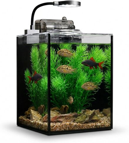 2.8 Gallon Small Glass Fish Tank with Lid, Desktop Nano Aquarium Starter Kit with Clip-on LED Light and Waterfall Filter Pump for Home and Office in Kuwait