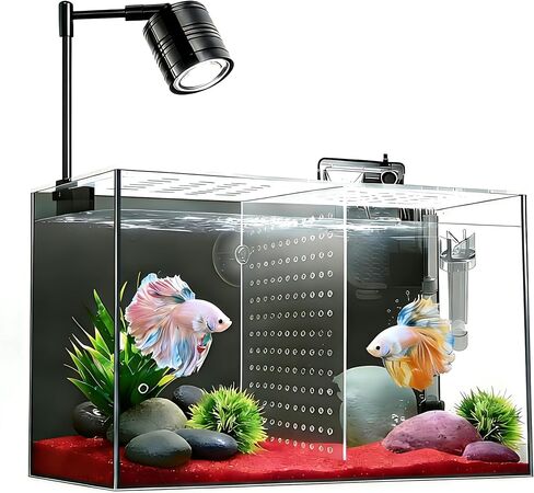 Fish Tank, 3 Gallon Ultra-Clear Glass Fish Aquarium, with Separator Plate for Betta, Fish Tank Starter kit with Filter and Led Light, Black in Saudi Arabia