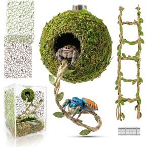 Magnetic Jumping Spider Accessories - Hideout Ball with Wood Shelter in Kuwait