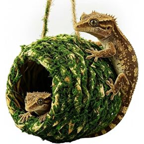 Mossy Caves Hideout, Crested Gecko Tank Accessories, Green Cave Hide Made with Natural Moss for Reptiles and Amphibians, Hide for Crested Gecko, Terrarium & Vivarium Decor in Kuwait