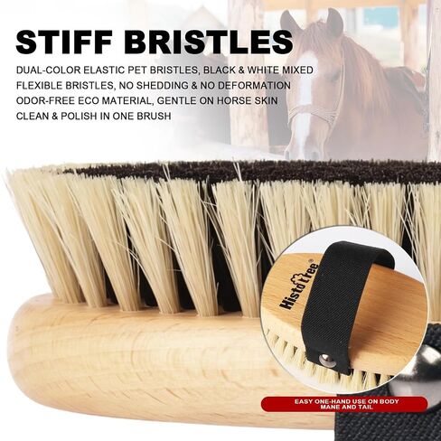 Black White Stiff Dandy Brush Solid Wood Horse Body Brush in Kuwait