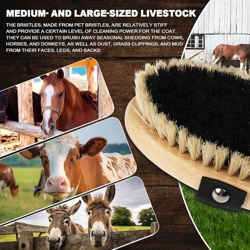 Black White Stiff Dandy Brush Solid Wood Horse Body Brush in Kuwait