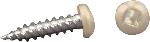 AP Products 012-PSQ50 CO 8 X 1 Colonial White Pan Head Square Recess Screw - Pack of 50 in Kuwait