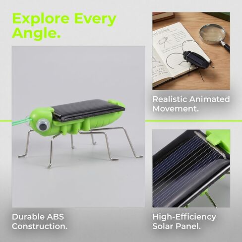 Toyvian Solar Powered Insect Props, 6pcs Lifelike Grasshopper in Kuwait