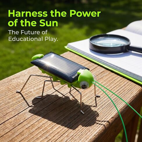 Toyvian Solar Powered Insect Props, 6pcs Lifelike Grasshopper in Kuwait
