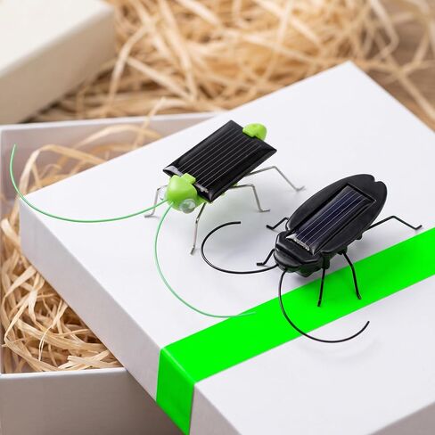 Toyvian Solar Powered Insect Props, 6pcs Lifelike Grasshopper in Kuwait