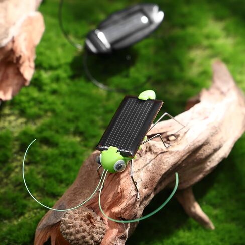 Toyvian Solar Powered Insect Props, 6pcs Lifelike Grasshopper in Kuwait