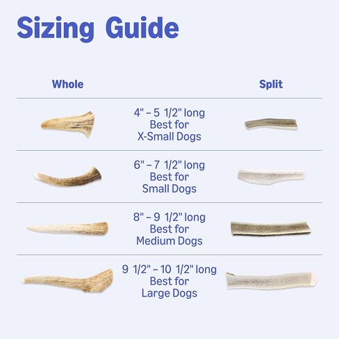 Amazon Basics Dog Deer Antler Chew, Naturally Shed, Whole, 9-10.5 inches, Long Lasting for Aggressive Chewers, X-Large, Best for Dogs Over 45 lbs (Previously Wag) in Kuwait