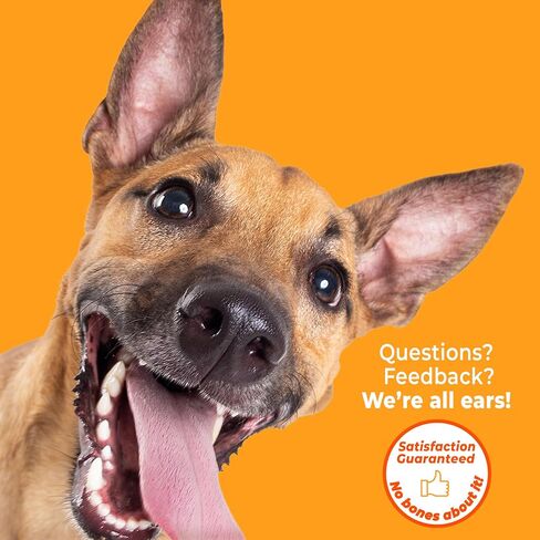Nylabone Power Chew Dental Groove Bone Dog Chew Toy, Flavor Medley, Small in Kuwait