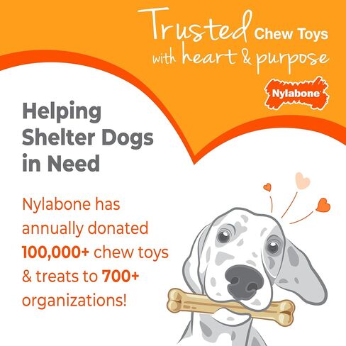 Nylabone Power Chew Dental Groove Bone Dog Chew Toy, Flavor Medley, Small in Kuwait
