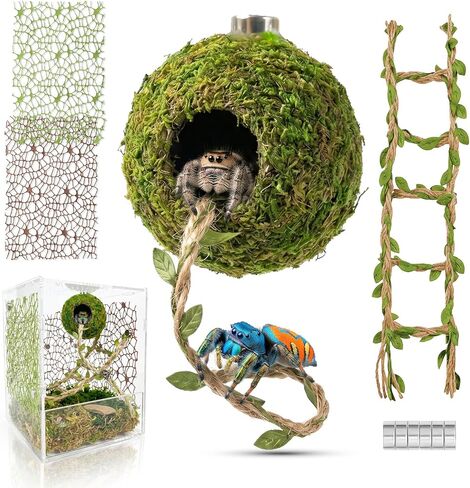 Magnetic Jumping Spider Accessories - Hideout Ball with Wood Shelter in Kuwait