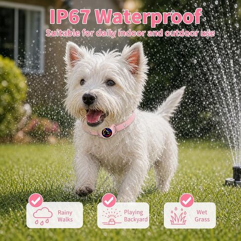 Bark Collar for 5-30 lbs Dogs, No Bark Collar for Small Dogs in Kuwait