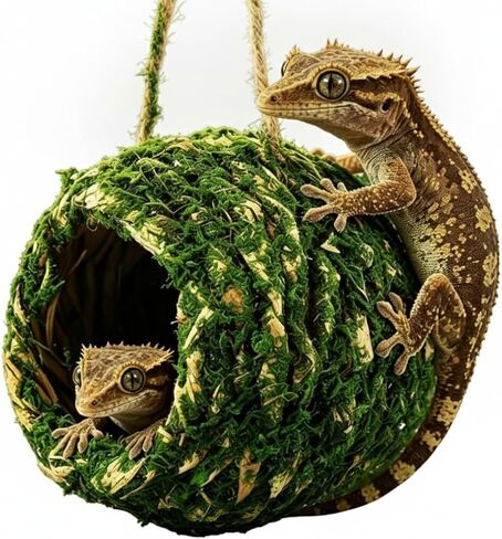 Mossy Caves Hideout, Crested Gecko Tank Accessories, Green Cave Hide Made with Natural Moss for Reptiles and Amphibians, Hide for Crested Gecko, Terrarium & Vivarium Decor in Kuwait