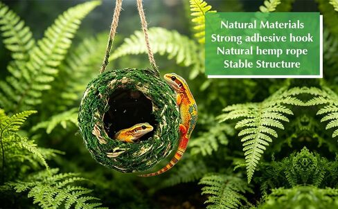 Mossy Caves Hideout, Crested Gecko Tank Accessories, Green Cave Hide Made with Natural Moss for Reptiles and Amphibians, Hide for Crested Gecko, Terrarium & Vivarium Decor in Kuwait