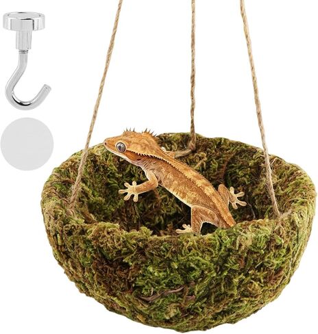 Handmade Crested Gecko Tank Accessories, Hanging Moss Reptile Hideout in Saudi Arabia
