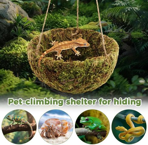Handmade Crested Gecko Tank Accessories, Hanging Moss Reptile Hideout in Saudi Arabia