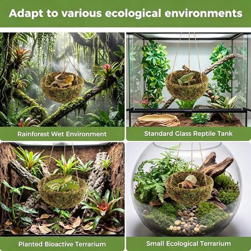 Handmade Crested Gecko Tank Accessories, Hanging Moss Reptile Hideout in Saudi Arabia