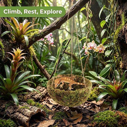 Handmade Crested Gecko Tank Accessories, Hanging Moss Reptile Hideout in Saudi Arabia