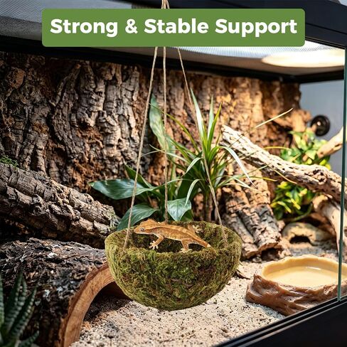 Handmade Crested Gecko Tank Accessories, Hanging Moss Reptile Hideout in Saudi Arabia