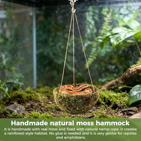 Handmade Crested Gecko Tank Accessories, Hanging Moss Reptile Hideout in Saudi Arabia