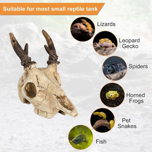 Mini Deer Skull Reptile Hide, Resin Tank Decor for Geckos, Snakes & Spiders in Kuwait