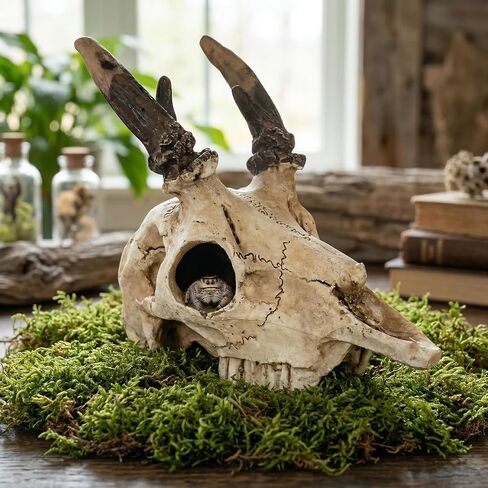 Mini Deer Skull Reptile Hide, Resin Tank Decor for Geckos, Snakes & Spiders in Kuwait