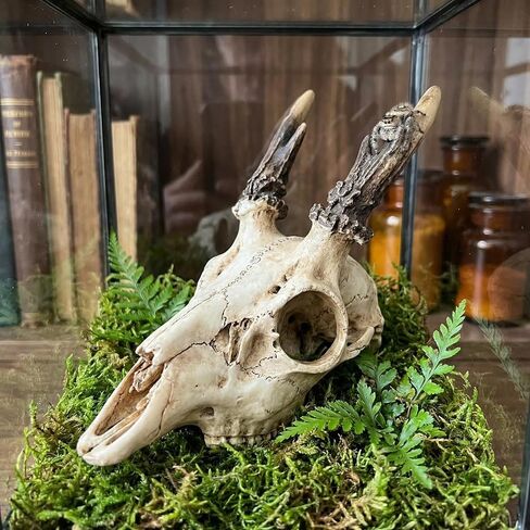 Mini Deer Skull Reptile Hide, Resin Tank Decor for Geckos, Snakes & Spiders in Kuwait