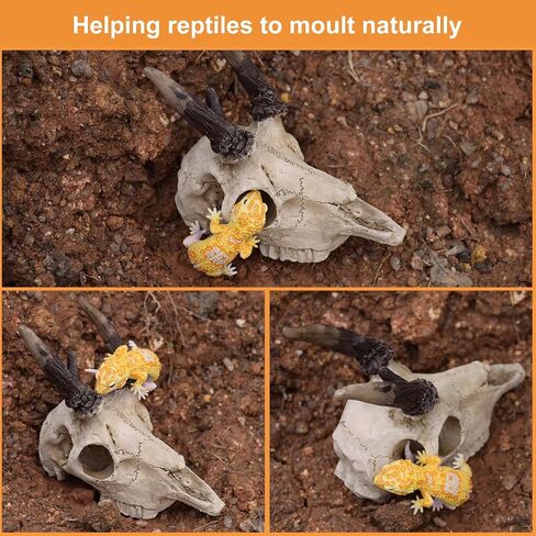 Mini Deer Skull Reptile Hide, Resin Tank Decor for Geckos, Snakes & Spiders in Kuwait