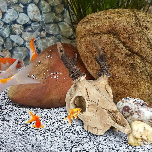 Mini Deer Skull Reptile Hide, Resin Tank Decor for Geckos, Snakes & Spiders in Kuwait