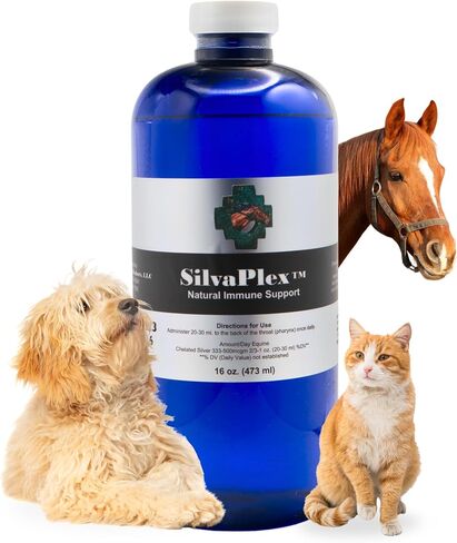 Natural Immune Support Solution - 100 PPM Chelated Silver for Dogs, Cats, Horses, Livestock - Veterinarian Developed Formula - Natural Breathing Support (8 oz) in Kuwait