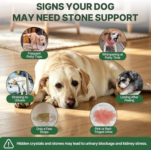 Bladder Stone Breaker Support for Dogs, Kidney Stones Dissolver Care Drops, Natural Dog Urinary Tract Infection Treatment, Helps with Stone Care & Recurrence Prevention,Vet-Formulated Urinary Flow in Kuwait