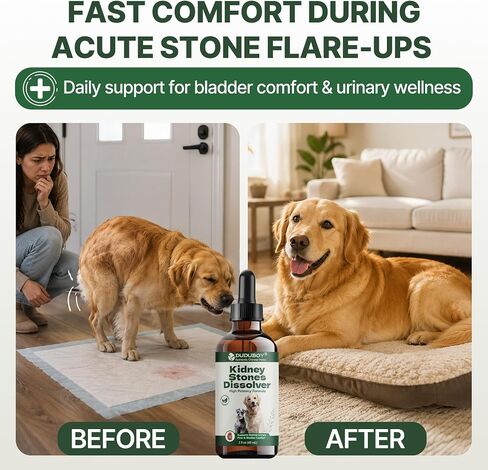 Bladder Stone Breaker Support for Dogs, Kidney Stones Dissolver Care Drops, Natural Dog Urinary Tract Infection Treatment, Helps with Stone Care & Recurrence Prevention,Vet-Formulated Urinary Flow in Kuwait