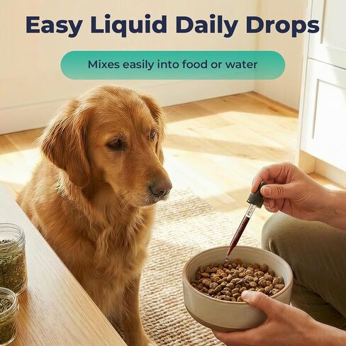 Quercetin with Bromelain for Dogs, Allergy & Seasonal Itch Relief Drops in Kuwait