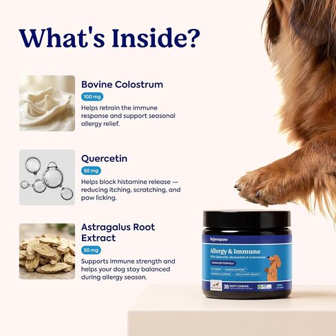 Allergy & Immune Chews for Dogs – Itch Relief Support in Kuwait