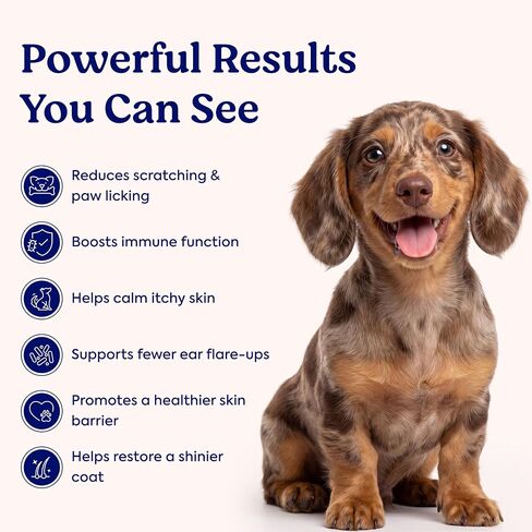 Allergy & Immune Chews for Dogs – Itch Relief Support in Kuwait