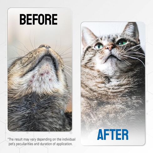 SILVER GRADE Wound Gel Tube for Pets – Dog Wound Care with Silver & Aloe – Cat & Dog Hot Spot, Scratches, Cuts, Bites Care – Help with Abrasions & Sores in Horses – Safe Breeds – 2 Oz in Kuwait