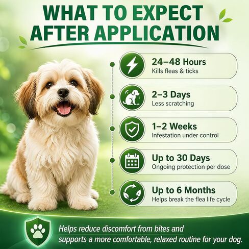 6Pcs Topical Dog Care Drops for Small Dogs 5-22 lbs, Monthly Outdoor Comfort Liquid for Dogs, Waterproof Pet Skin Care Formula, Easy-to-Apply Dog Care Drops, 6 Month Supply in Saudi Arabia