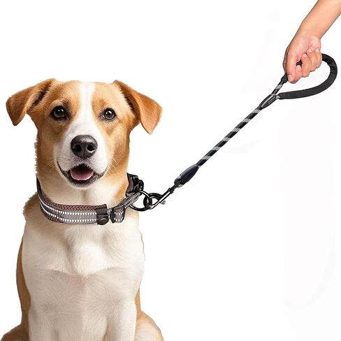 Short Train Dog Leash 2 Ft,Soft Padded Handle in Saudi Arabia