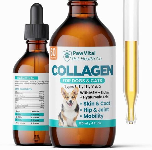 Liquid Collagen for Dogs – 1000mg 5 Types Grass-Fed Collagen Peptides (I, II, III, V & X) with MSM, Glucosamine, Chondroitin, Hyaluronic Acid – Skin & Coat, Itch Relief, Hip & Joint Support – 4oz in Saudi Arabia