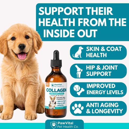 Liquid Collagen for Dogs – 1000mg 5 Types Grass-Fed Collagen Peptides (I, II, III, V & X) with MSM, Glucosamine, Chondroitin, Hyaluronic Acid – Skin & Coat, Itch Relief, Hip & Joint Support – 4oz in Saudi Arabia