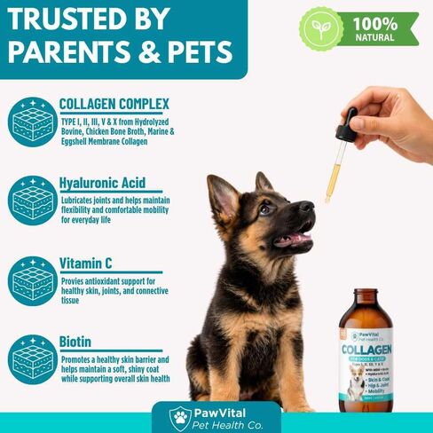 Liquid Collagen for Dogs – 1000mg 5 Types Grass-Fed Collagen Peptides (I, II, III, V & X) with MSM, Glucosamine, Chondroitin, Hyaluronic Acid – Skin & Coat, Itch Relief, Hip & Joint Support – 4oz in Saudi Arabia