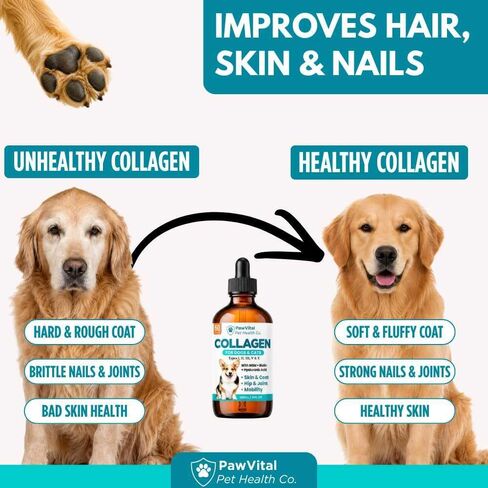 Liquid Collagen for Dogs – 1000mg 5 Types Grass-Fed Collagen Peptides (I, II, III, V & X) with MSM, Glucosamine, Chondroitin, Hyaluronic Acid – Skin & Coat, Itch Relief, Hip & Joint Support – 4oz in Saudi Arabia