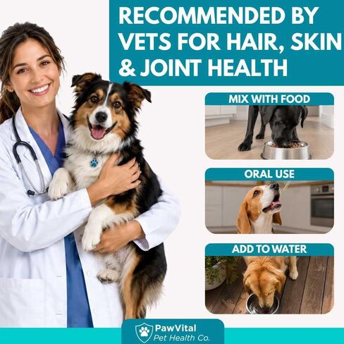 Liquid Collagen for Dogs – 1000mg 5 Types Grass-Fed Collagen Peptides (I, II, III, V & X) with MSM, Glucosamine, Chondroitin, Hyaluronic Acid – Skin & Coat, Itch Relief, Hip & Joint Support – 4oz in Saudi Arabia